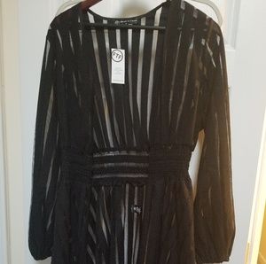 Sheer shirt dress